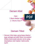 Demam Tifoid