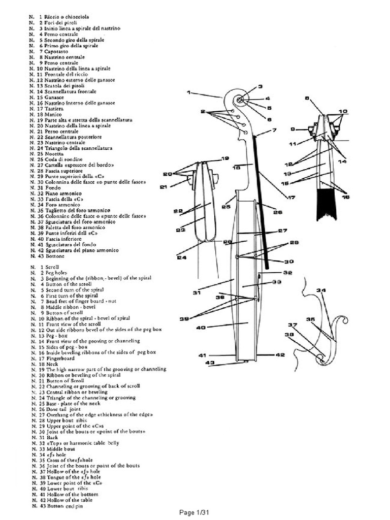 Viola Da Gamba G. Da Salo | PDF