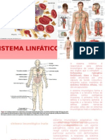 Sistema Linfatico