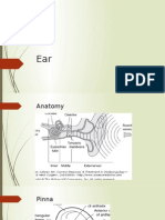 Ear EarEar EarEar EarEar EarEar EarEar EarEar EarEar EarEar EarEar EarEar EarEar EarEar Ear