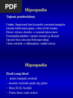 Download HIPOSPADIA by Husnawaty Dayu SN285936441 doc pdf