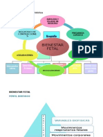 Ecografía Perfil y Bienestar