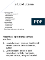 Jenis-Jenis Lipid Utama