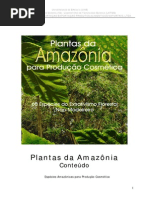 Oleos Essenciais Da Amazonia
