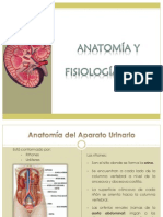 Fisiología Renal y Anatomia