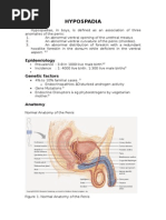Download HYPOSPADIA by David Akbar S SN285981649 doc pdf