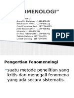 FENOMENOLOGI