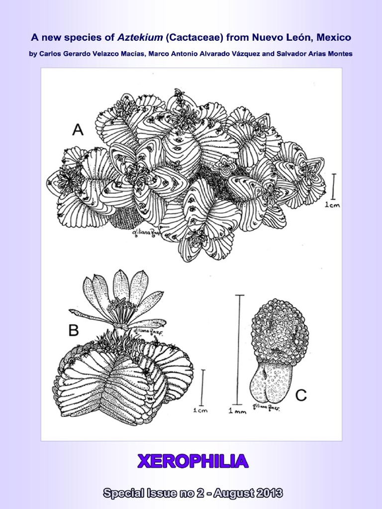 Aztekium Valdezii | PDF
