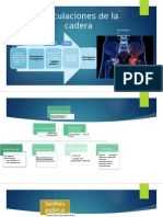Articulaciones de La Cadera