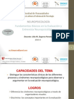 Fundamentos Básicos de La Evaluación Nps PDF