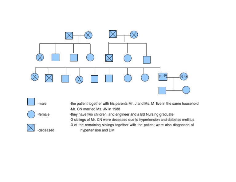 Family Genogram and Health History | PDF | Science & Mathematics