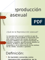Reproducción Asexual