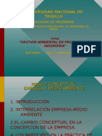 Gestion Ambiental en Pys. Ingenieria (II-2)