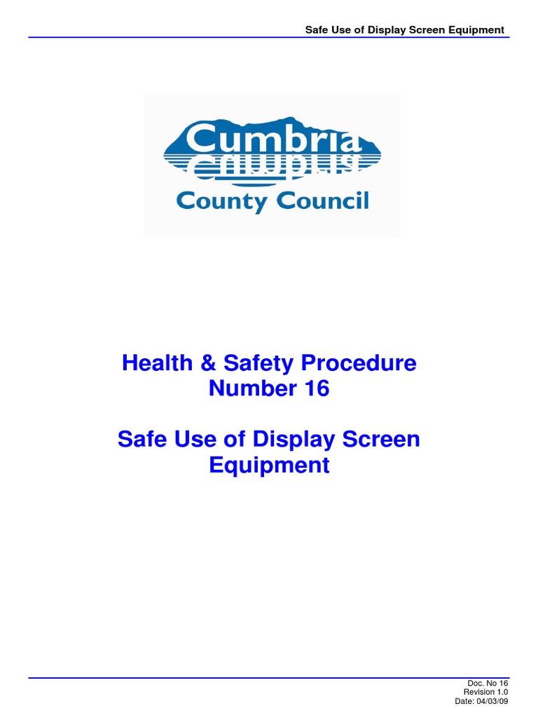 Display Screen Equipment Safety Guide | PDF | Computer Keyboard ...