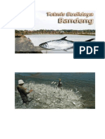 Download Beternak Bandeng by Droopy Dash SN286016194 doc pdf