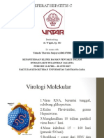 Ppt Hepatitis Yola