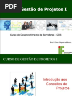 Slides Introducao Conceitos de Projetos