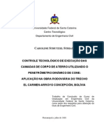 Dissertações - 2008 - Striani (DCP)