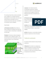 Apostila Histologia Vegetal II