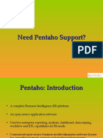 Offshore Pentaho development | Pentaho Programmers