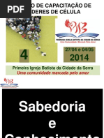 Curso de Capacitação de Líderes IV 2014