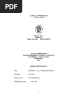 Download Laporan Praktikum Ilmu Tanah by reginaikmanila SN286068390 doc pdf