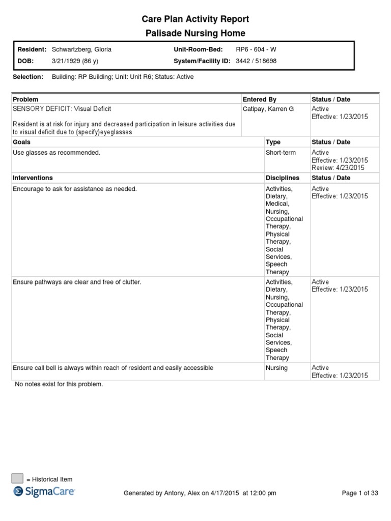 Care Plan Activity Report Palisade Nursing Home System/Facility ID