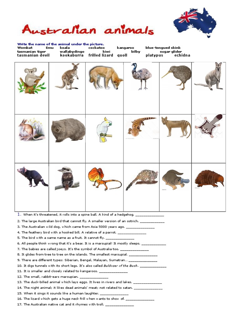 aussie-animals-worksheet-marsupials-fauna-of-australia-free-30