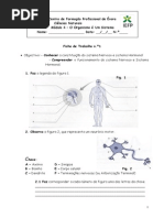 Ficha de Trabalho n1 Modulo4