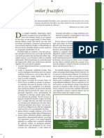 Taierea Pomilor Fructiferi PDF