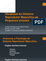 Neoplasia Do Sistema Reprodutor Masculino de Pequenos Animais