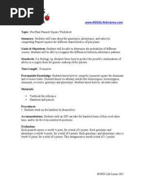 Pea Plant Punt Squares Ws Pdf Dominance Geics Genotype