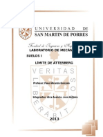 Informe 3 Limites