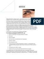 Informe Dengue