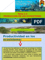 2.3 Producción en Los Ecosistemas