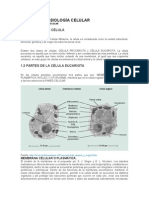 Anatomía y Fisiología Celular