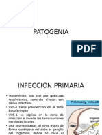 Patogenia Vhs 1