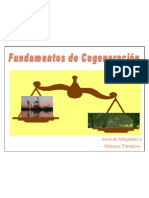 Todo Cogeneración PDF