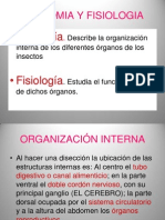 Anatomia y Fisiologia