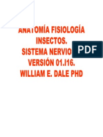 Anatomía Fisiología Insectos. Sistema Nervioso. Versión 01.i16. William e. Dale Phd.