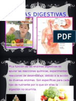 Enzimas Digestivas