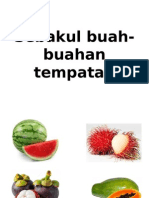 Sebakul Buah-Buahan Tempatan