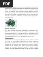 Download formulasi obat kumur by Yessi Dwisanti SN286220704 doc pdf