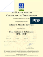 Johnny Meireles - Certificado Treinamento BPF - DNV