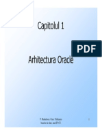 2 Arhitectura Oracle