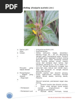 Download BOOKLET TOGAdoc by AyouItuYustirahayu SN286244924 doc pdf