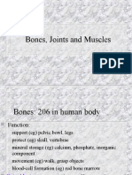 Bones, Joints, Muscles