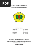 Download Organ Reproduksi Pada Mamalia by rositawati09 SN286270295 doc pdf