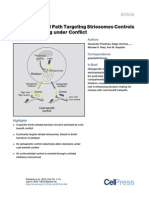 A Corticostriatal Path Targeting Striosomes Controls Decision-Making under Conflict