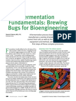 Fermentation Fundamentals